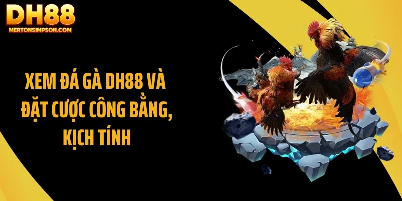 Xem đá gà DH88 và đặt cược công bằng, kịch tính Xem đá gà DH88 và đặt cược công bằng, kịch tính